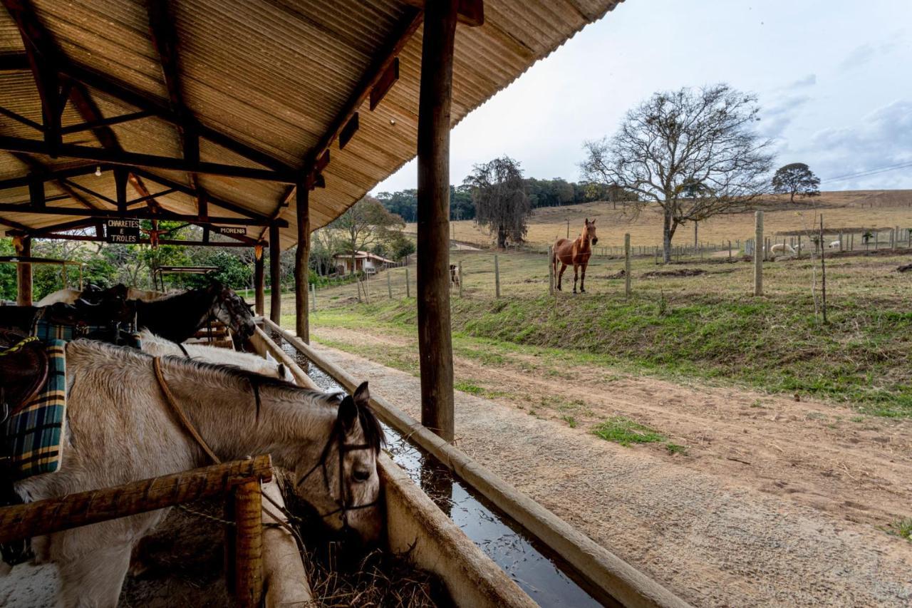 Hotel Fazenda Colina Dos Sonhos ソコロ エクステリア 写真