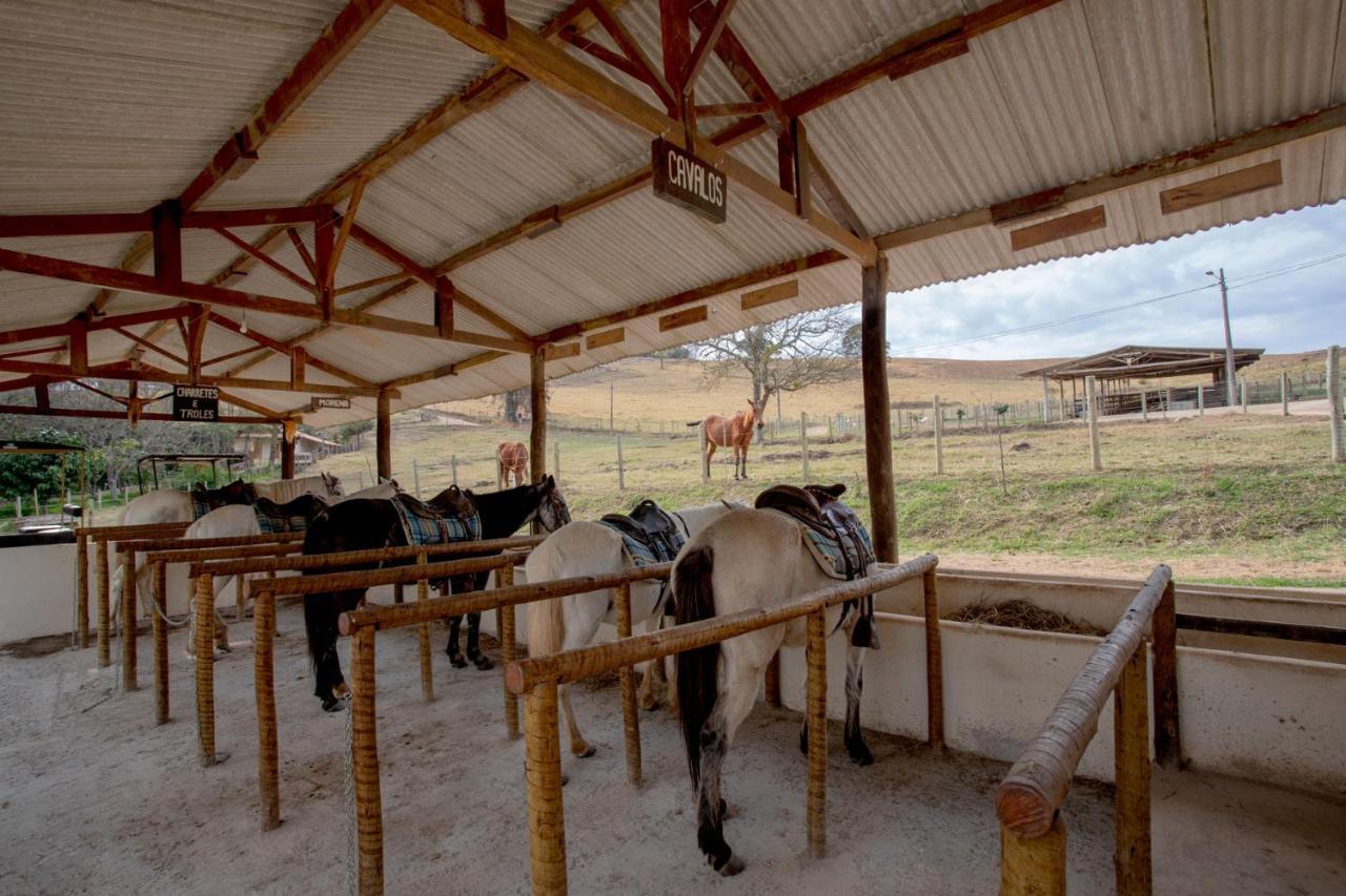 Hotel Fazenda Colina Dos Sonhos ソコロ エクステリア 写真